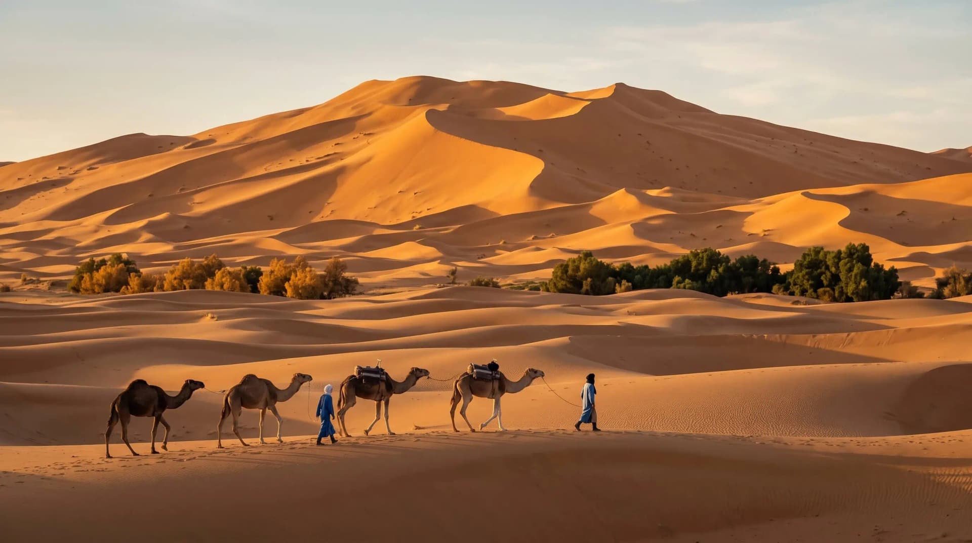 Erg Zahar or Erg Chegaga: Which Dunes to Choose?