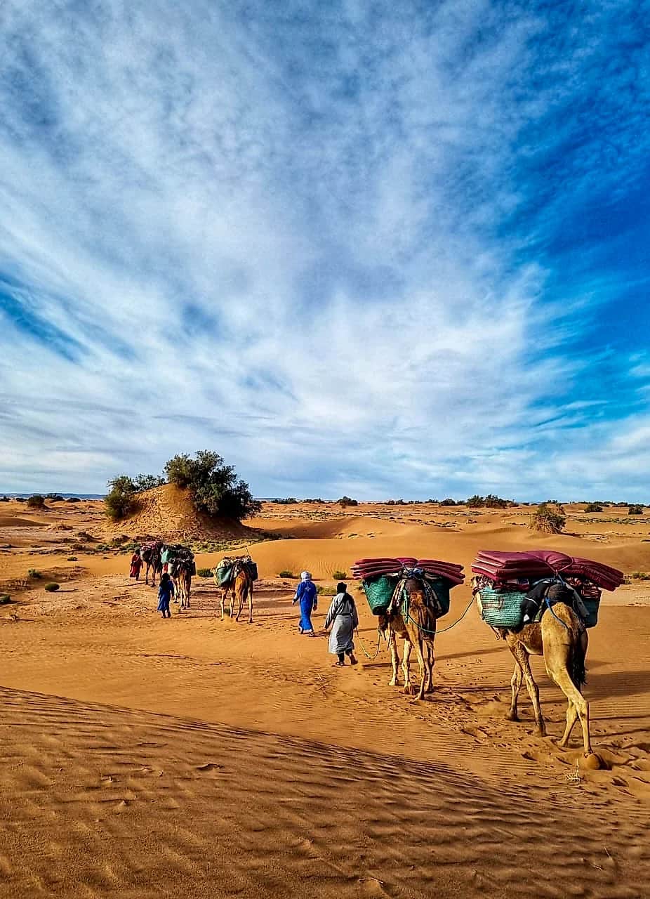 Nomadic camel caravan in the heart of high dunes