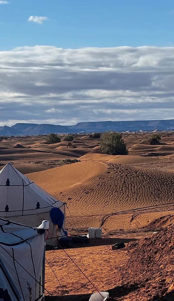 Nomad camp with views of Saharan mountain ridges