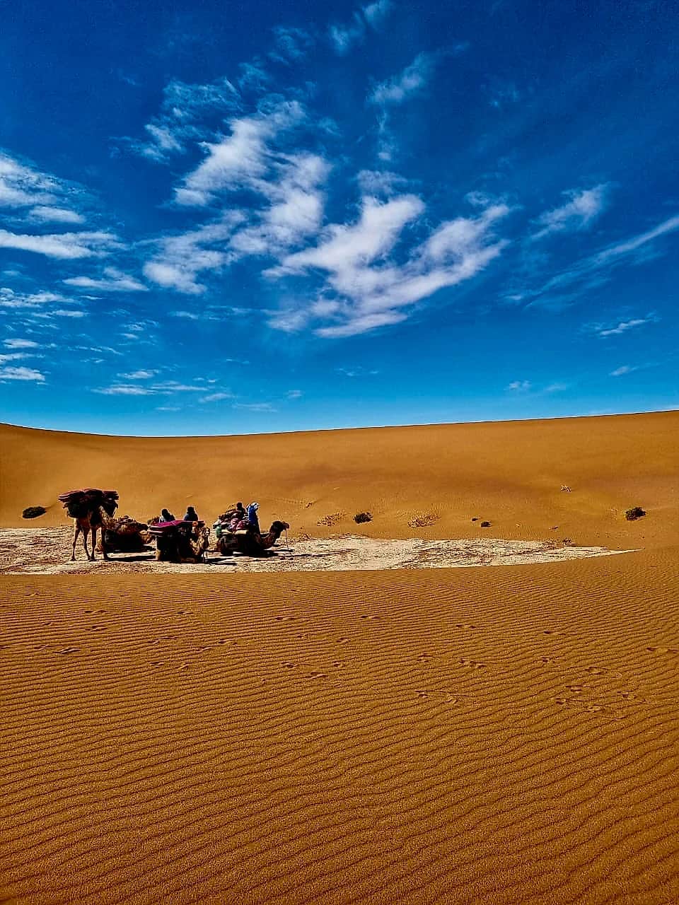 Caravan resting across the desert flats