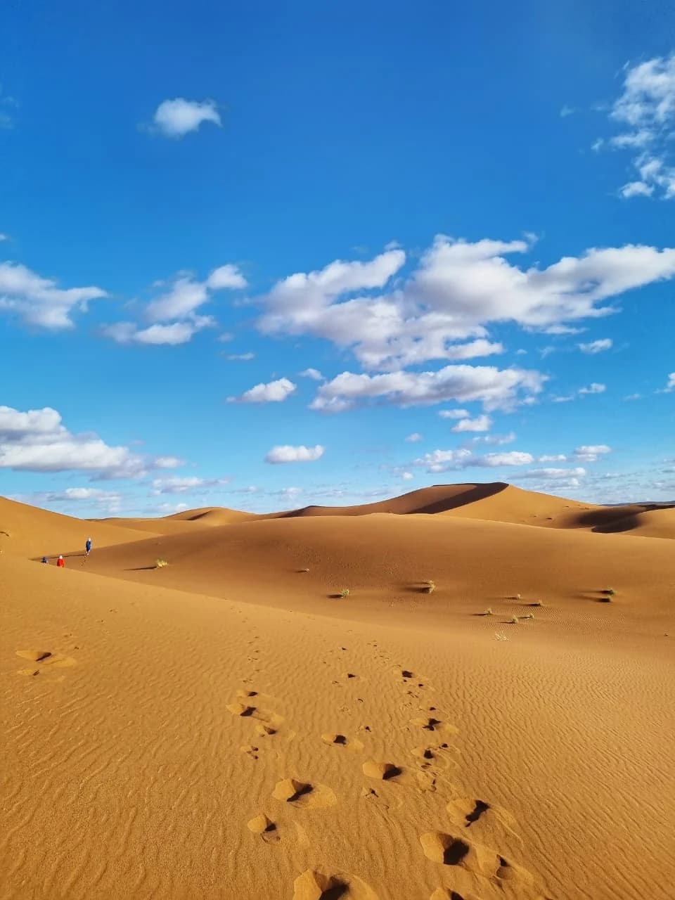 Deep Desert Essentials