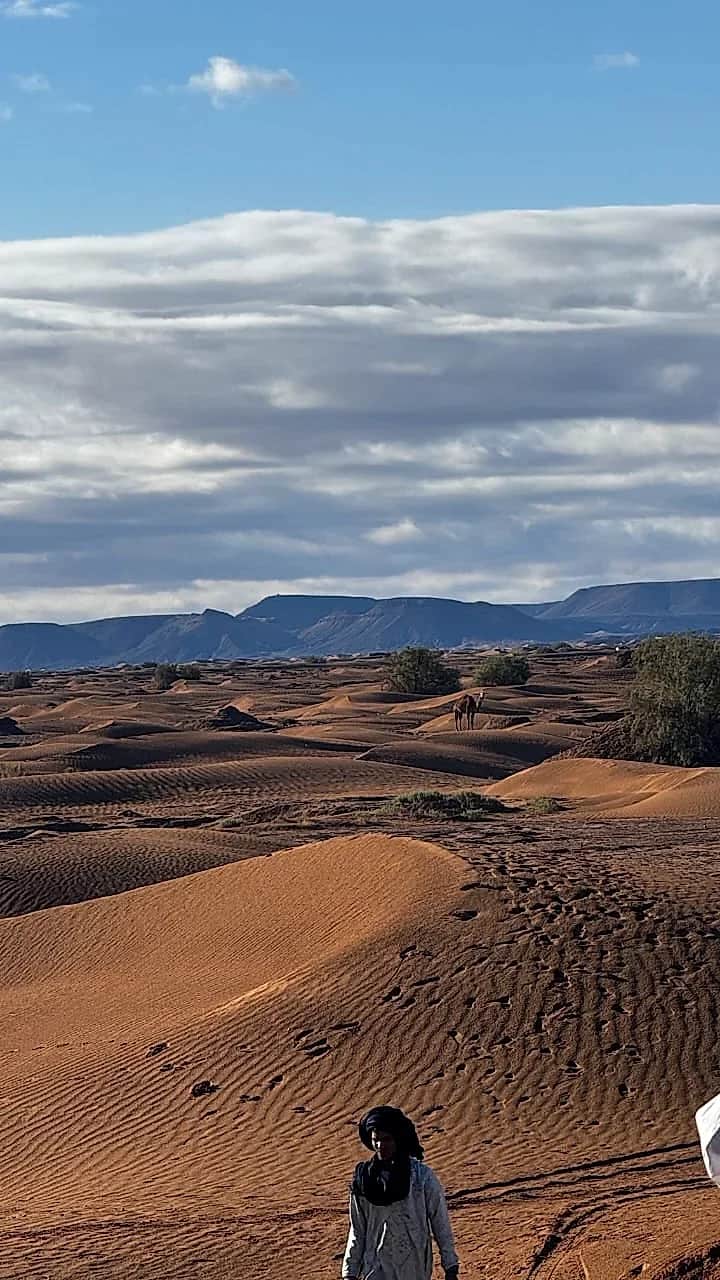 Contemplative trek following the desert rhythm
