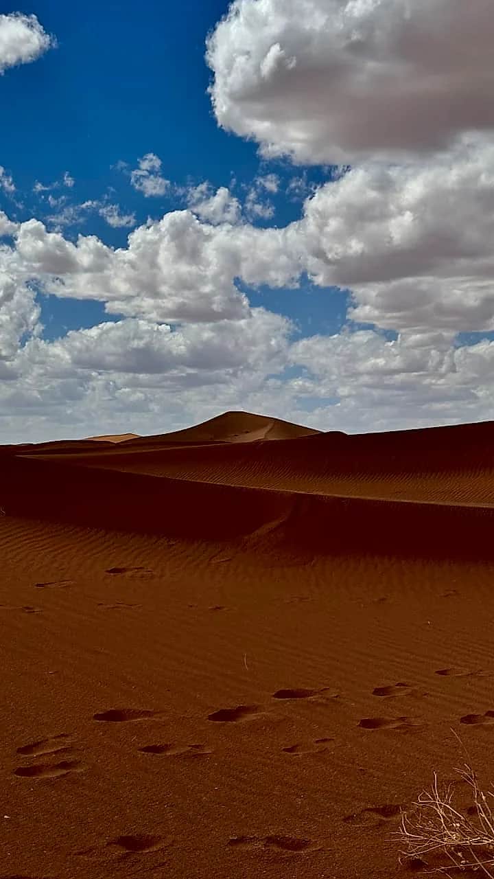 Majestic panorama over Saharan sand waves