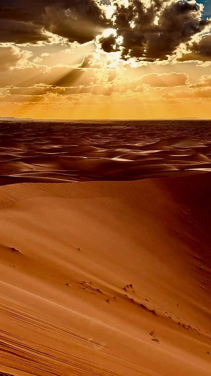 Radiant morning light over Erg Zahar