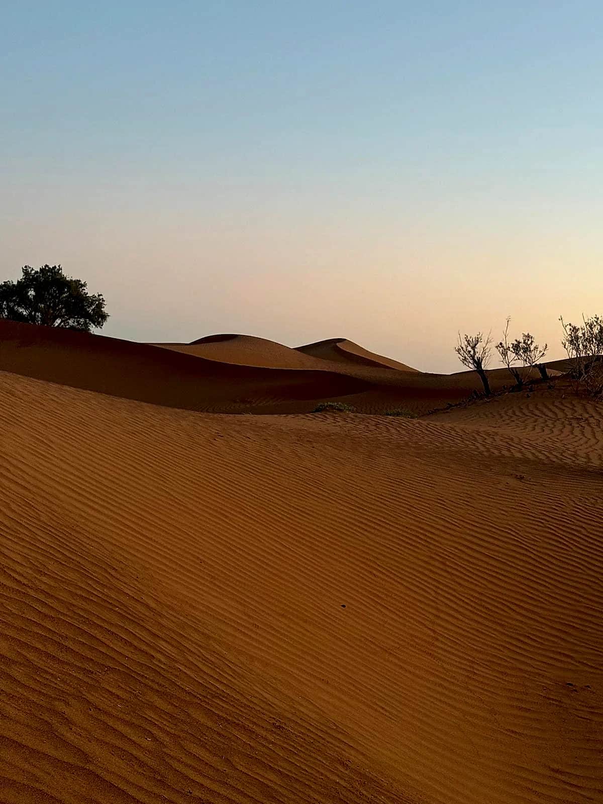 Saharan dusk and shifting shadows