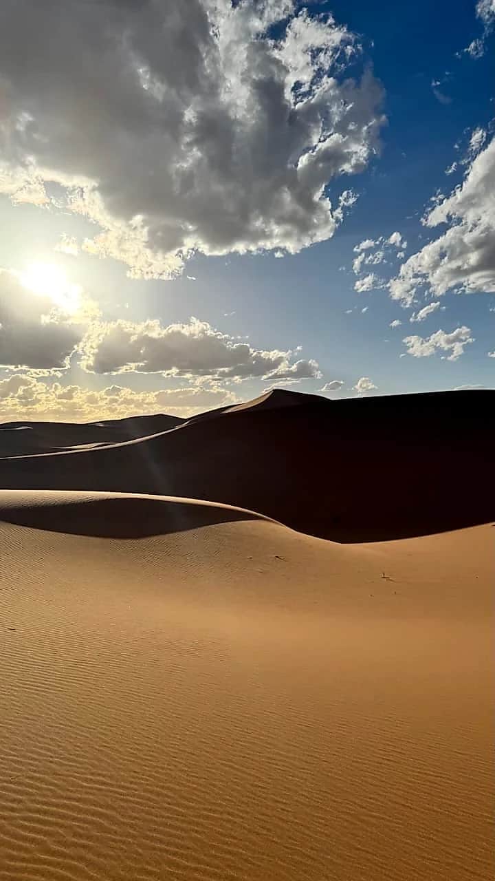 Pure lines and sun-carved dune contours