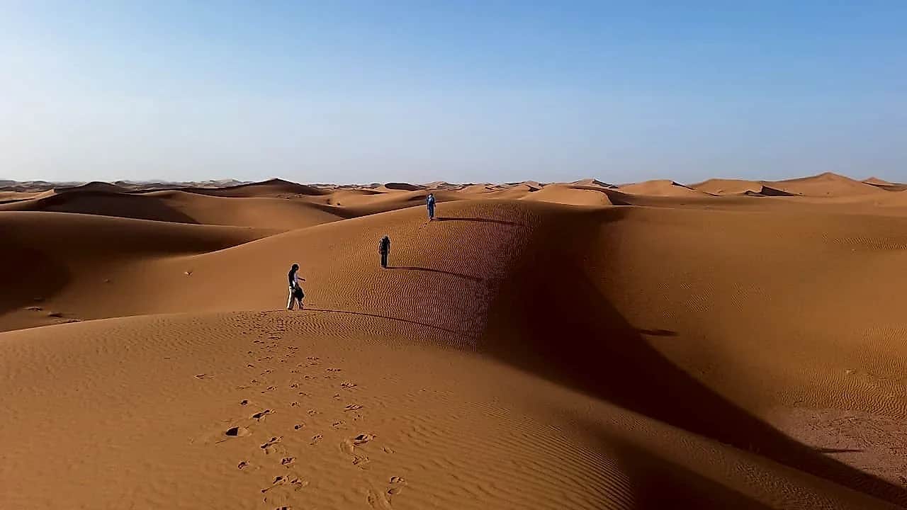 Immersive hike along the high dune ridge